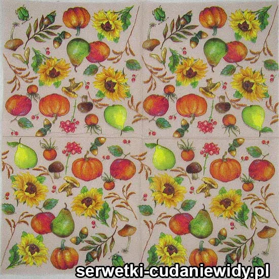 61505 Serwetki Papierowe