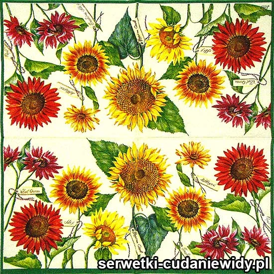 61535 Serwetki Dekoracyjne