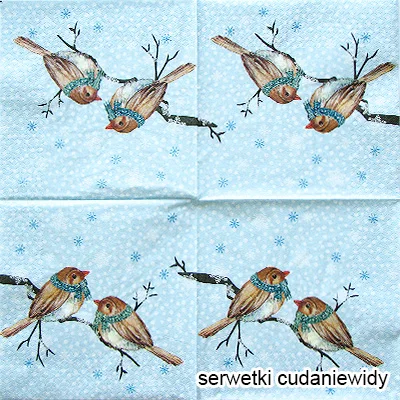 61713 Unikalne Serwetki