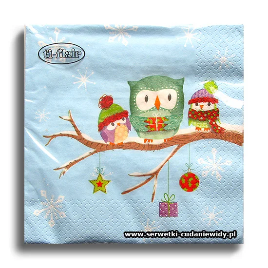 6176PACZKA Winter Owl
