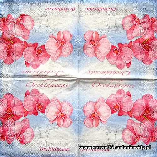 6185 Orchidaceae