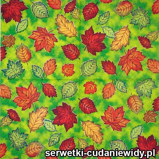 61979A Serwetka Papierowa