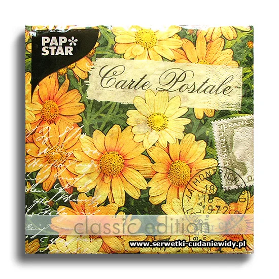 6197PACZKA Carte Postale