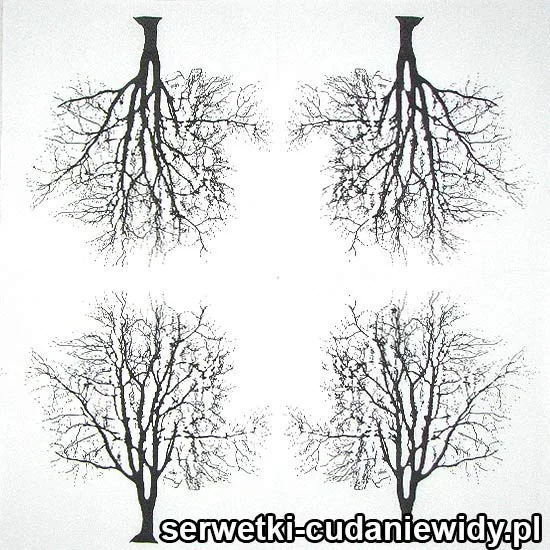 61986A Serwetka Papierowa