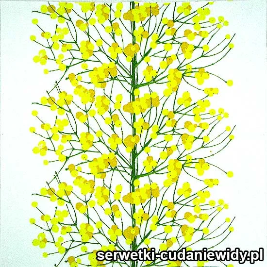 62022 Serwetki Dekoracyjne