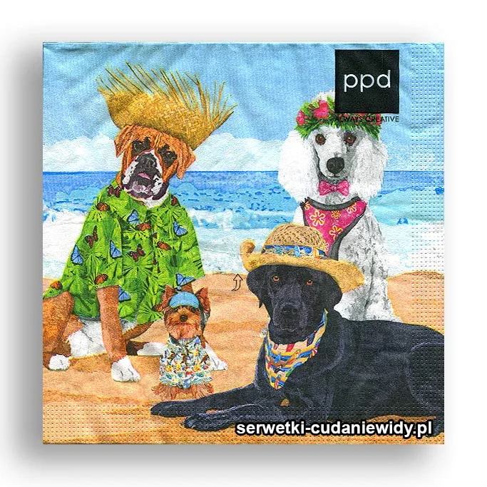 6202PACZKA Psy Na Plaży