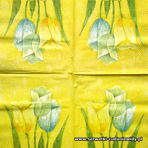 6203 Paper Design