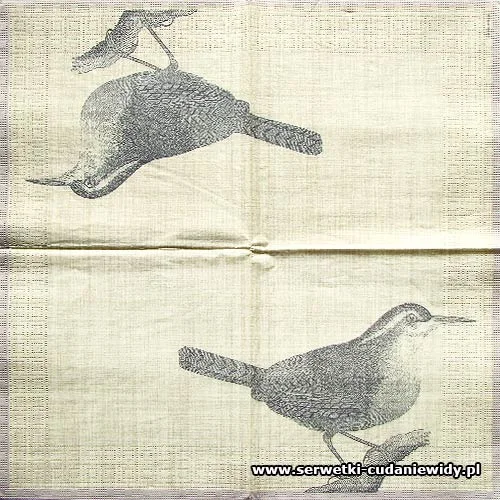 6206 Botanical Bird