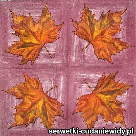 62076 Serwetki Dekoracyjne