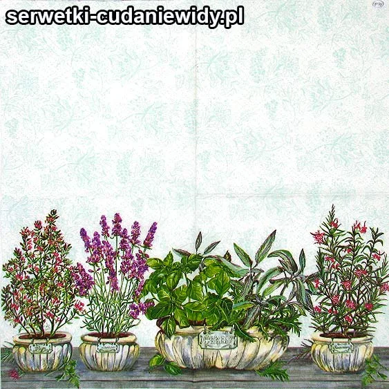 62092 Serwetki Dekoracyjne