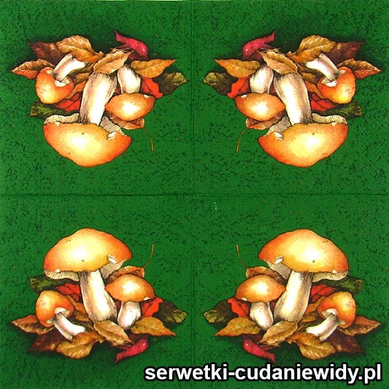 62096 Serwetki Dekoracyjne