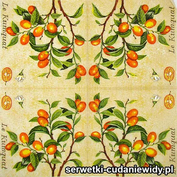 62118 Serwetki Dekoracyjne