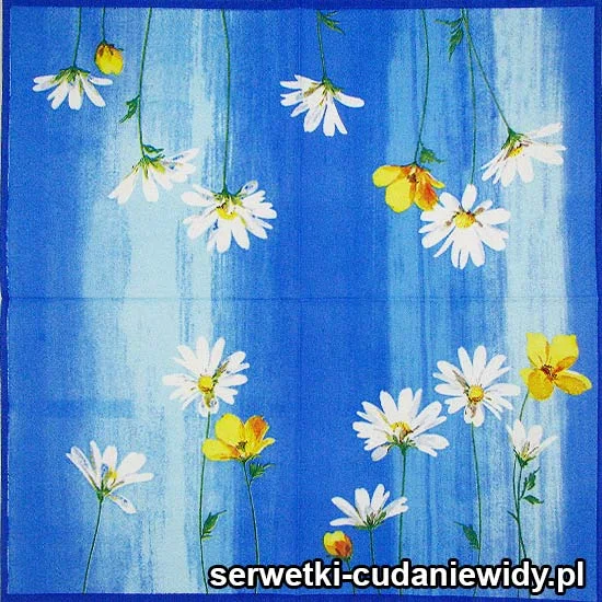 62245 Serwetki Dekoracyjne