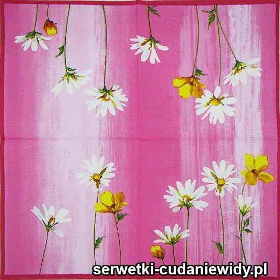 62246 Serwetki Dekoracyjne
