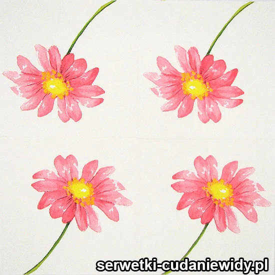 62299 Unikalne Serwetki