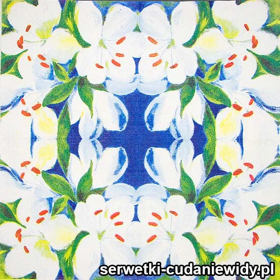 62300 Unikalne Serwetki