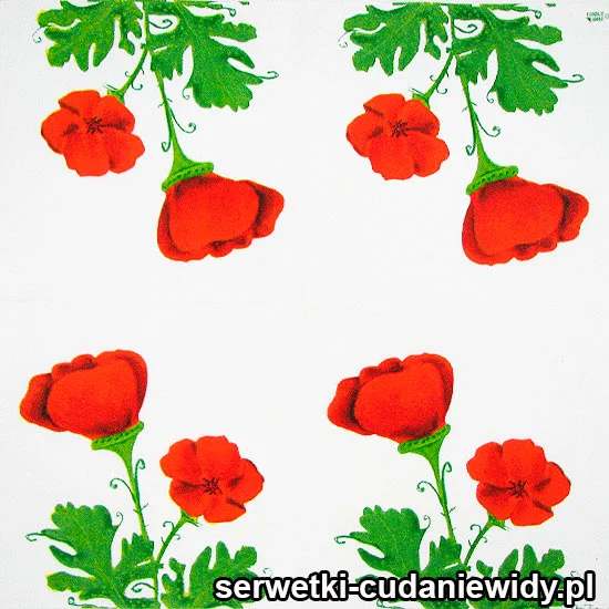 62381 Serwetki Papierowe