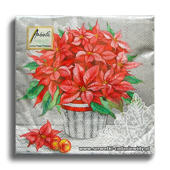 6238PACZKA Estrela De Natal