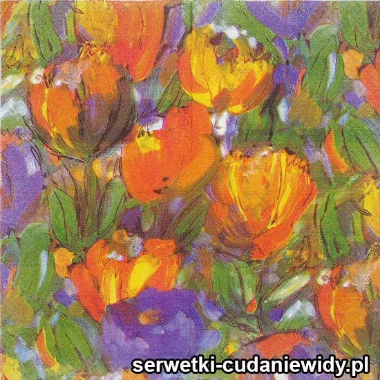 62393 Serwetki Papierowe