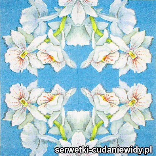 62397 Serwetki Papierowe