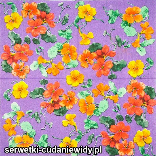 62398 Serwetki Papierowe