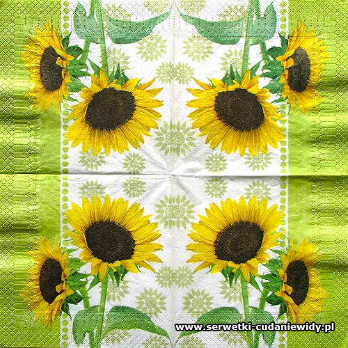 6244 Serwetki Do Decoupage