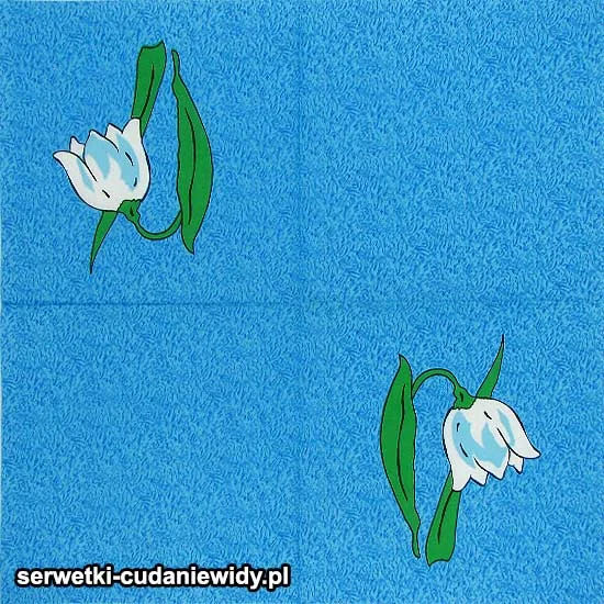 62554 Serwetki Papierowe