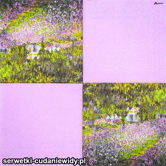 62857 Piękne Serwetki