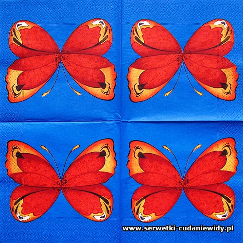 6295 Butterfly