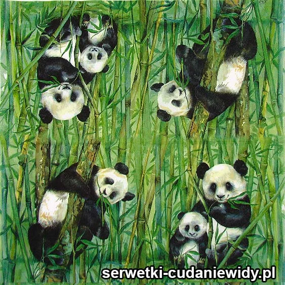 6297 Panda