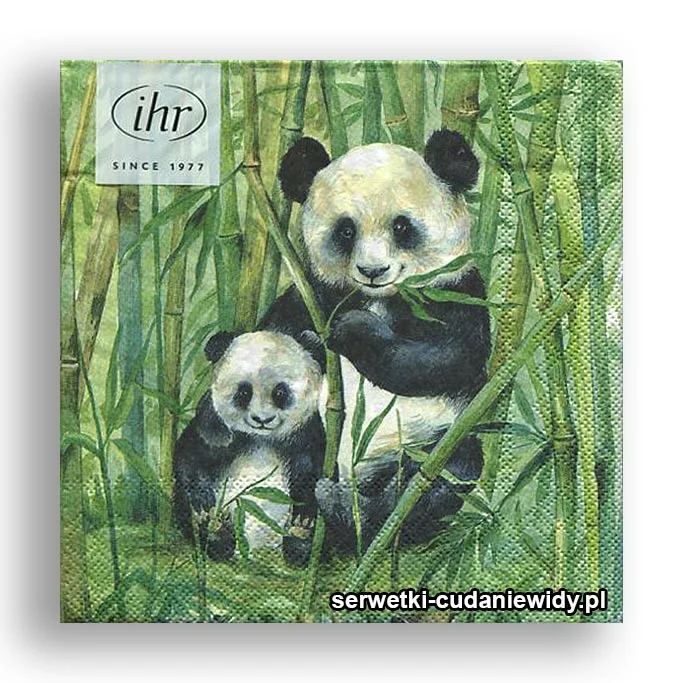 6297PACZKA Panda
