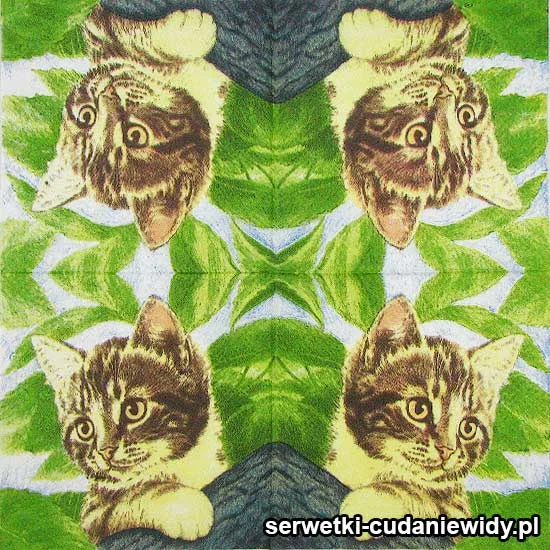 63082 Piękne Serwetki