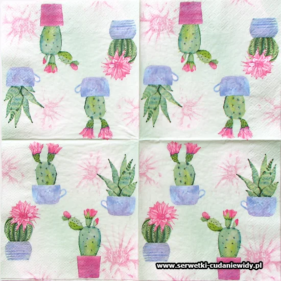 6311 Flowering Cactuses