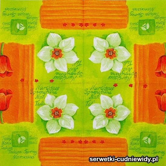63155 Piękne Serwetki Unikalne Wzory