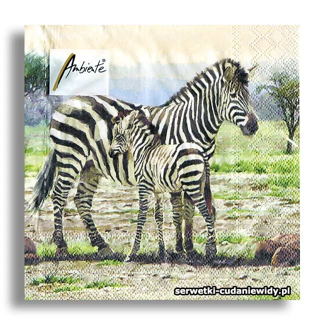 6316PACZKA Zebra Z Mamą