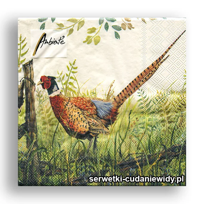 6317PACZKA Piękny Bażant
