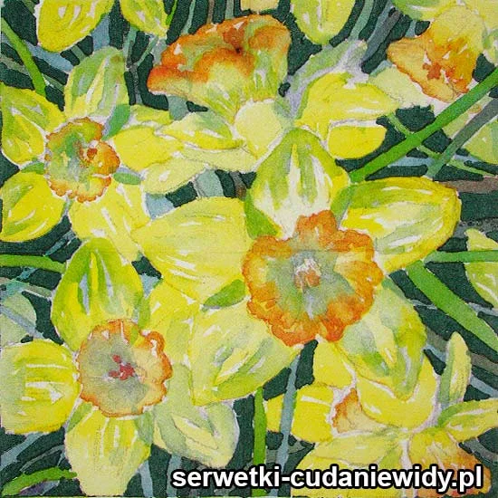 63200 Eleganckie Serwetki