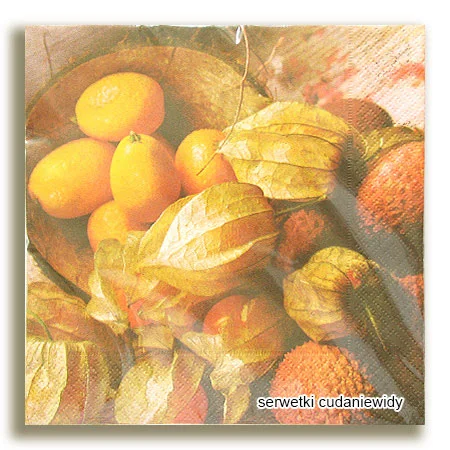6323PACZKA Paczka Serwetek 20Szt