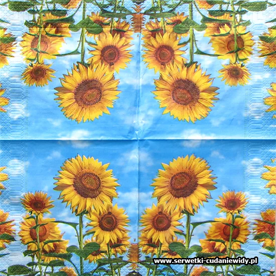 6405 Sunflower Field