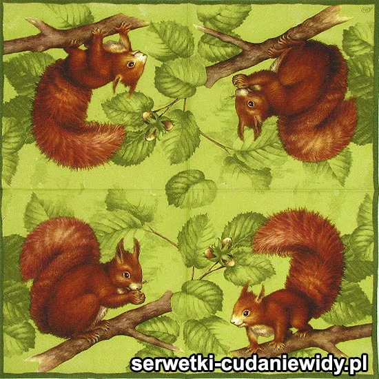 64051 Serwetki Papierowe