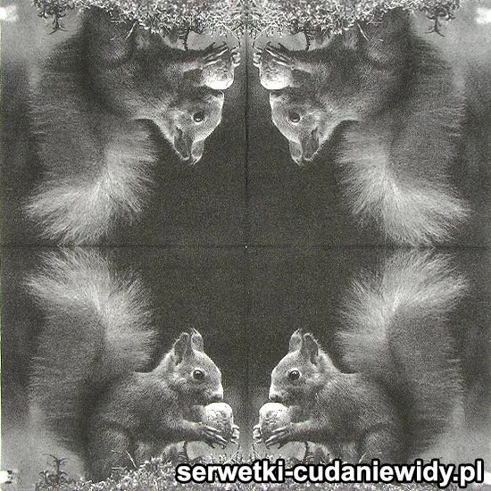 64094 Serwetki Papierowe