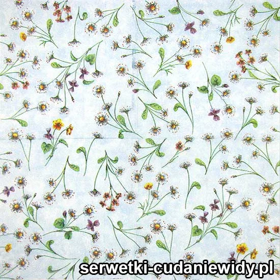 64095 Dekoracyjne Serwetki