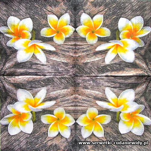 6412 Frangipani