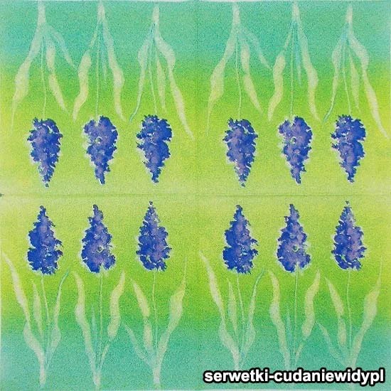 64219 Unikalne Serwetki Piękny Wzór