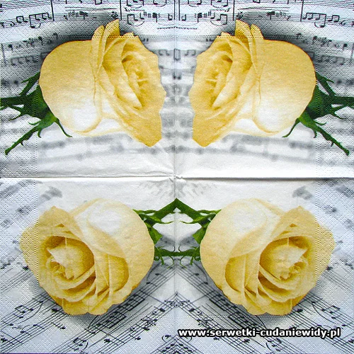 6435 Classic Rose