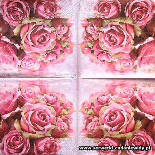 6445 Magic Rose