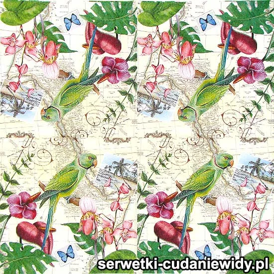 64484 Serwetki Papierowe