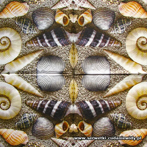 6452 Seashells