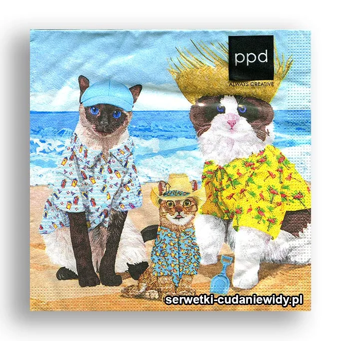 6469PACZKA Koty Na Plaży