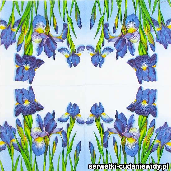 6486 Old Iris Meadow